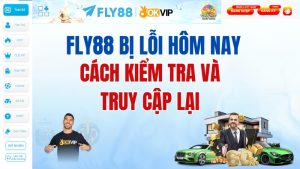 FLY88 Bị Lỗi Hôm Nay? Cách Kiểm Tra Và Xử Lý